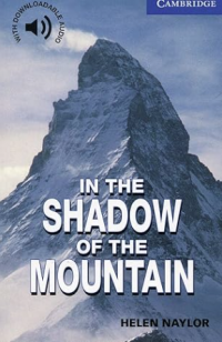 In the Shadow of the Mountain Level 5