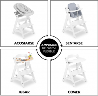Trona Evolutiva desde 6 Meses hasta 90 kg